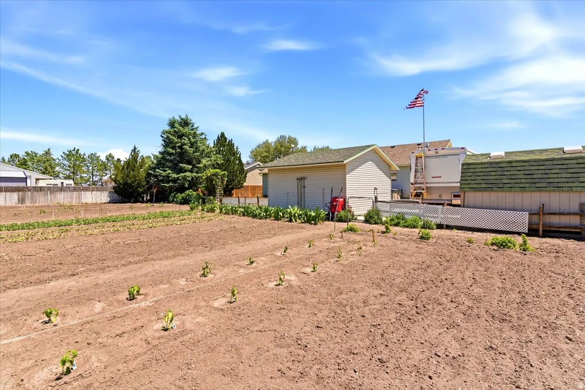 Cultivated backyard garden area featuring tilled soil and young plants