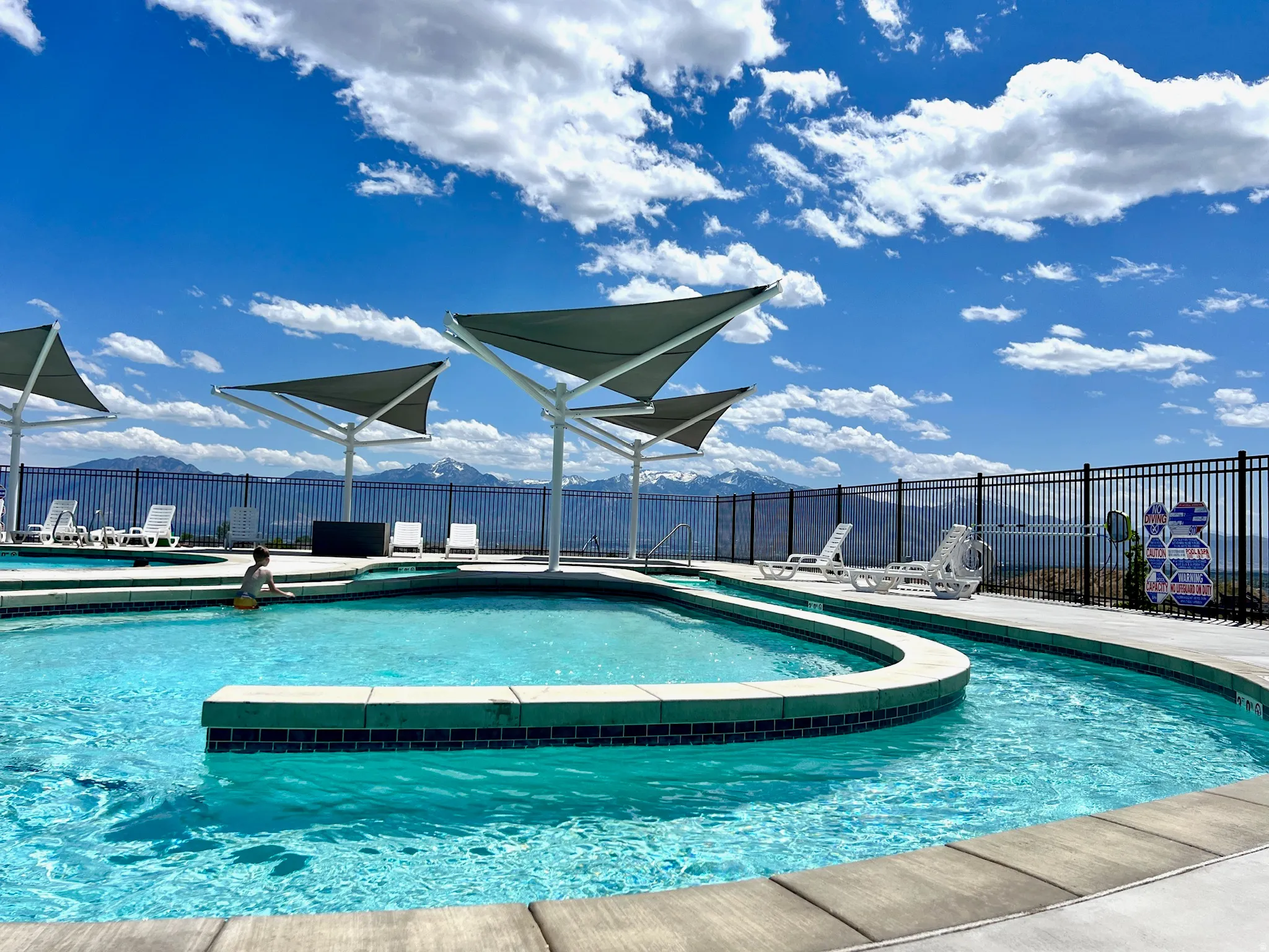 Swimming pool featuring a curved design, dark tile accents, and multiple lounge chairs