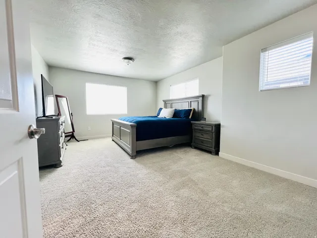 Spacious room featuring neutral carpet flooring, light-colored walls, multiple windows with blinds, a ceiling-mounted light fixture, and white baseboards