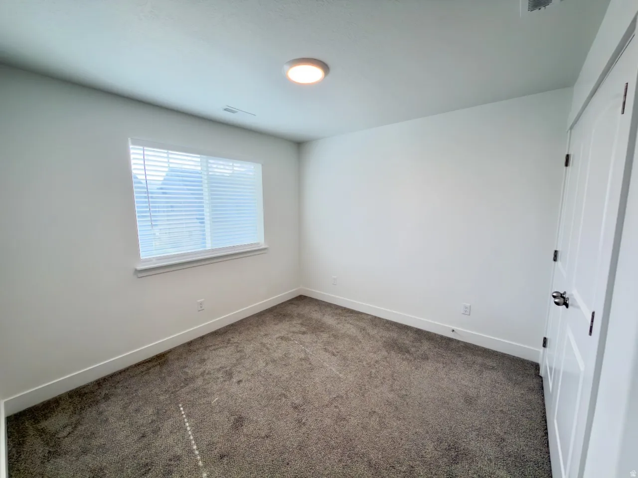 Carpeted room featuring a single window with blinds, white trim, a flush-mount ceiling light, and a paneled door with a chrome knob