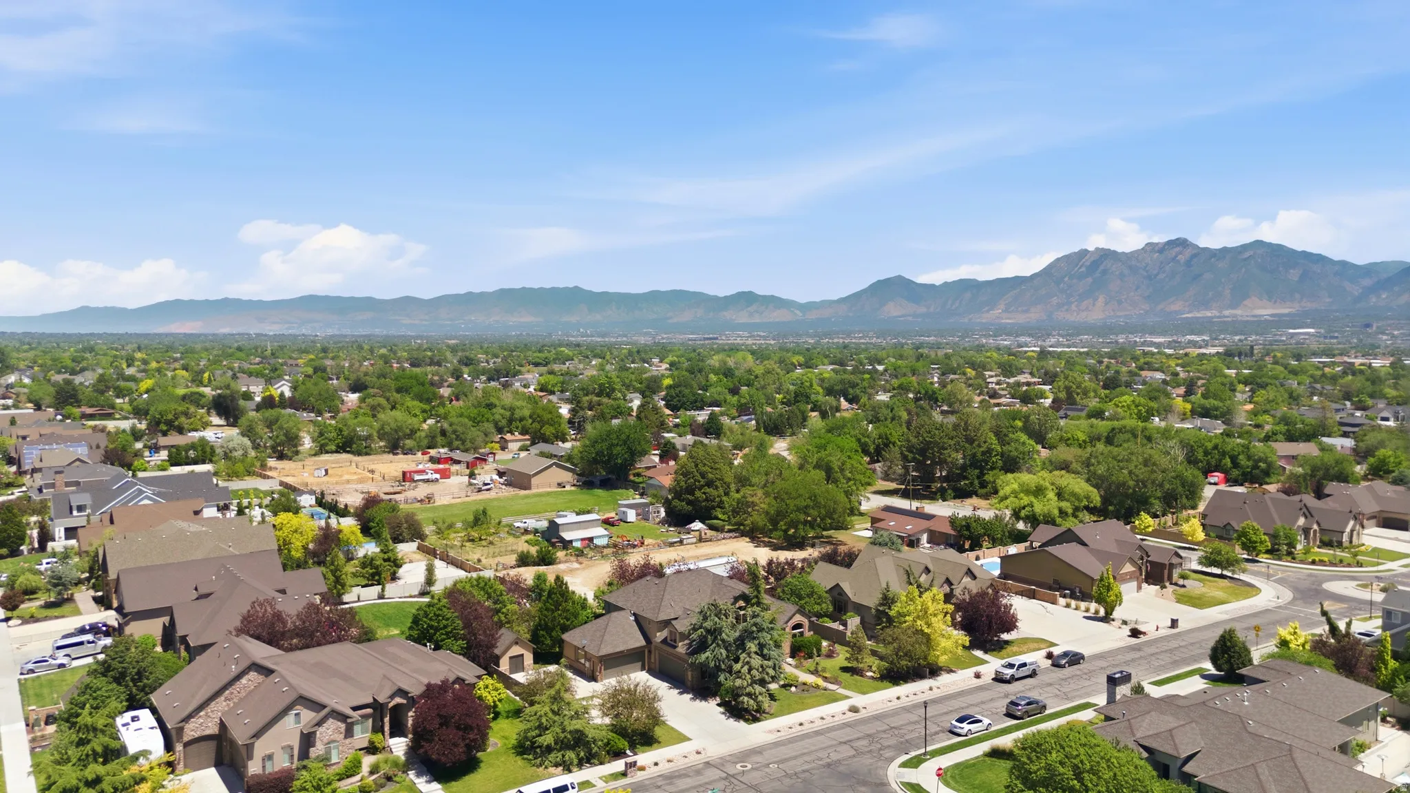 Expansive neighborhood aerial showcasing mature trees and mountain scenery