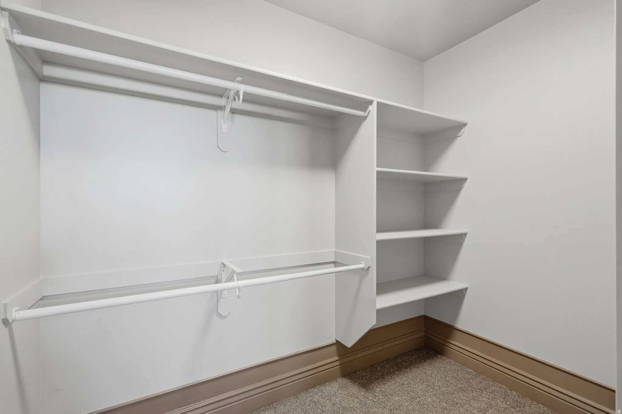Walk-in closet featuring built-in shelving, two hanging rods, and neutral carpeting