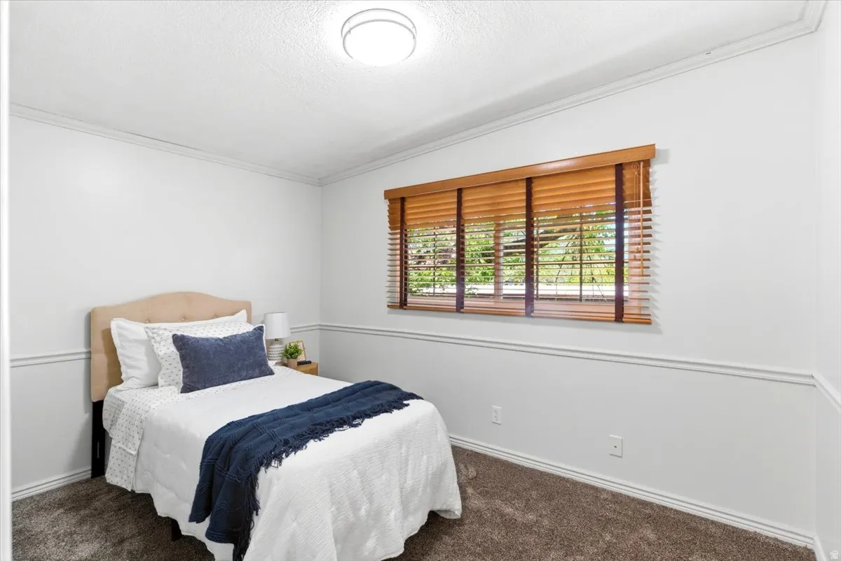 Room featuring a window with wood-finish blinds, crown molding, chair rail molding, and textured carpeting