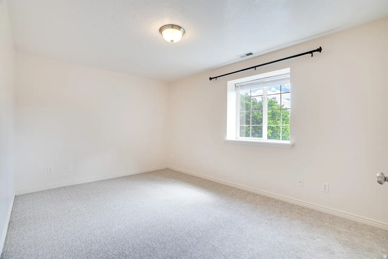 Carpeted room with a multi-pane window, featuring white trim and a black curtain rod