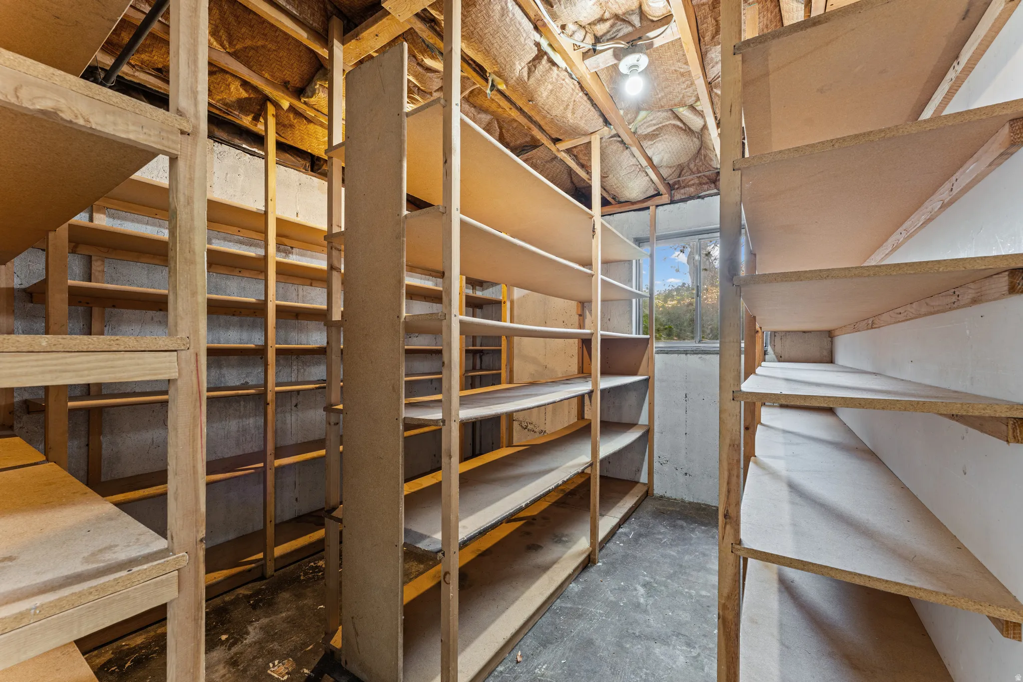 Basement space featuring extensive built-in wooden shelving, concrete walls, and a visible window opening