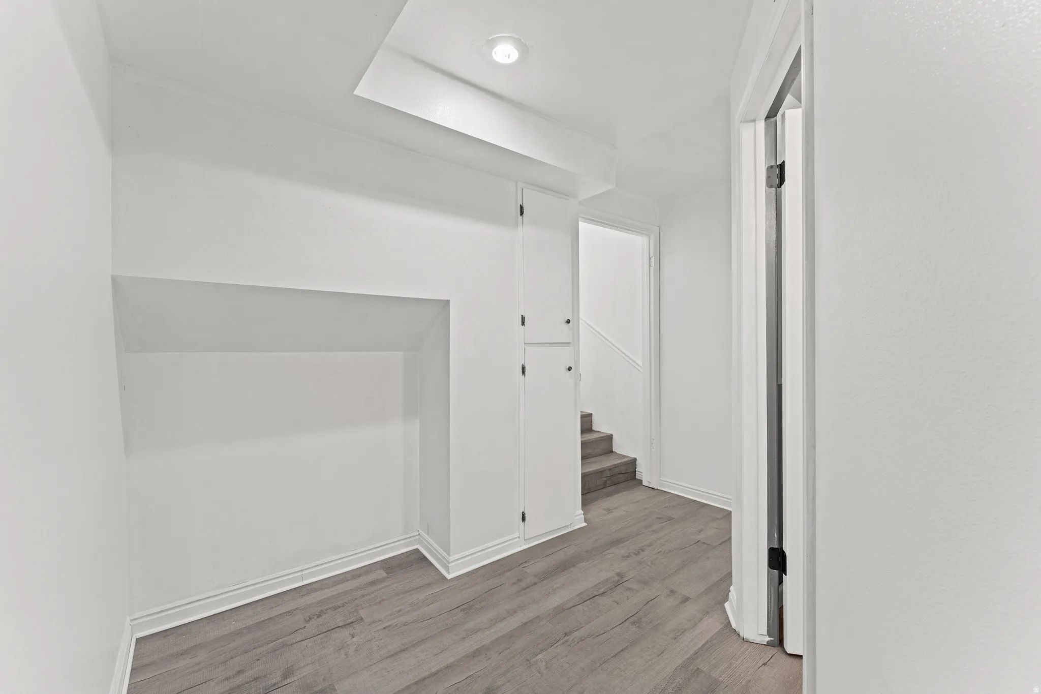 Recessed wall niche, built-in storage cabinet, wood-finish flooring, and recessed lighting