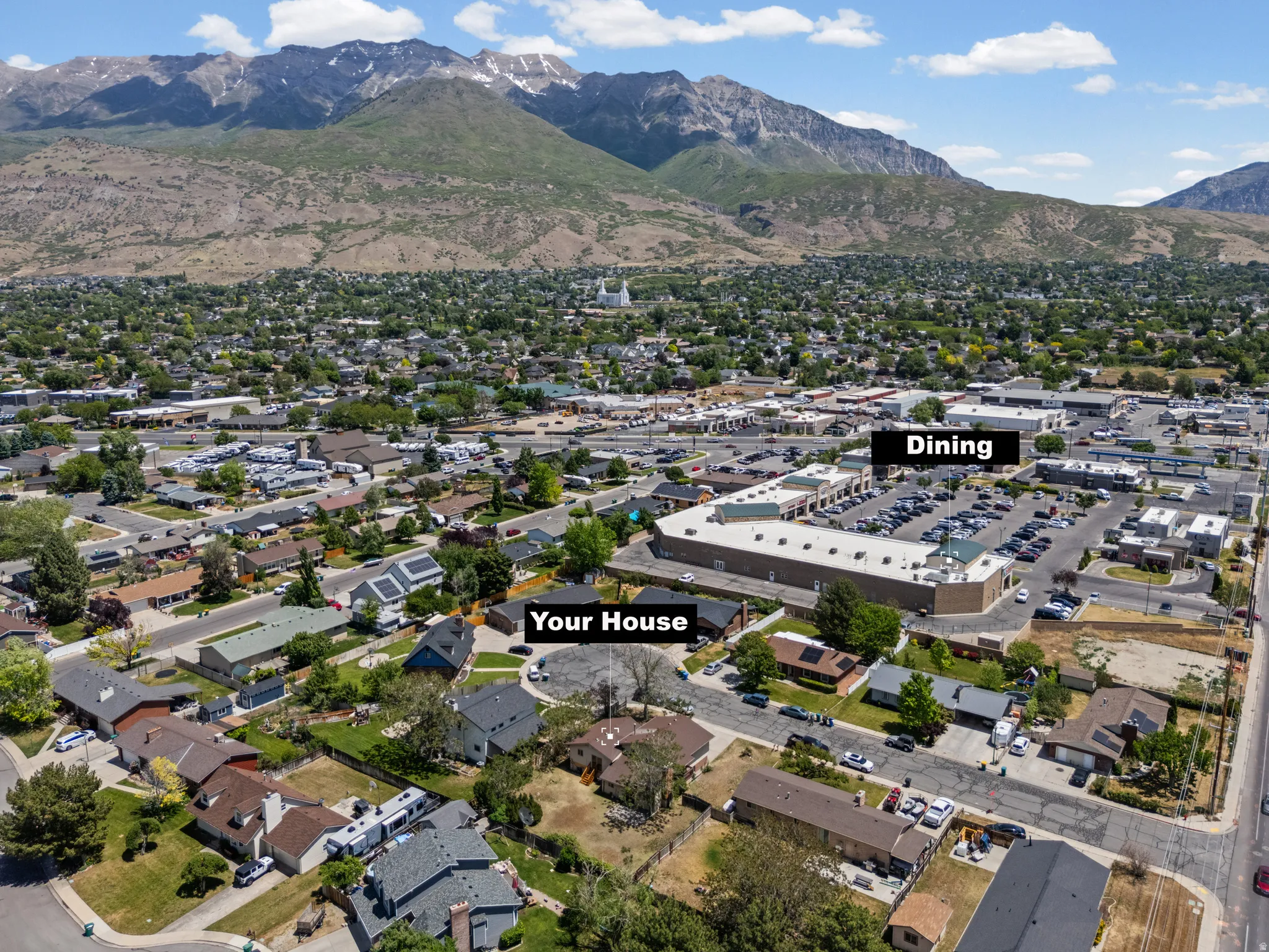 Aerial perspective showcasing a residential area with varied housing styles and mature trees