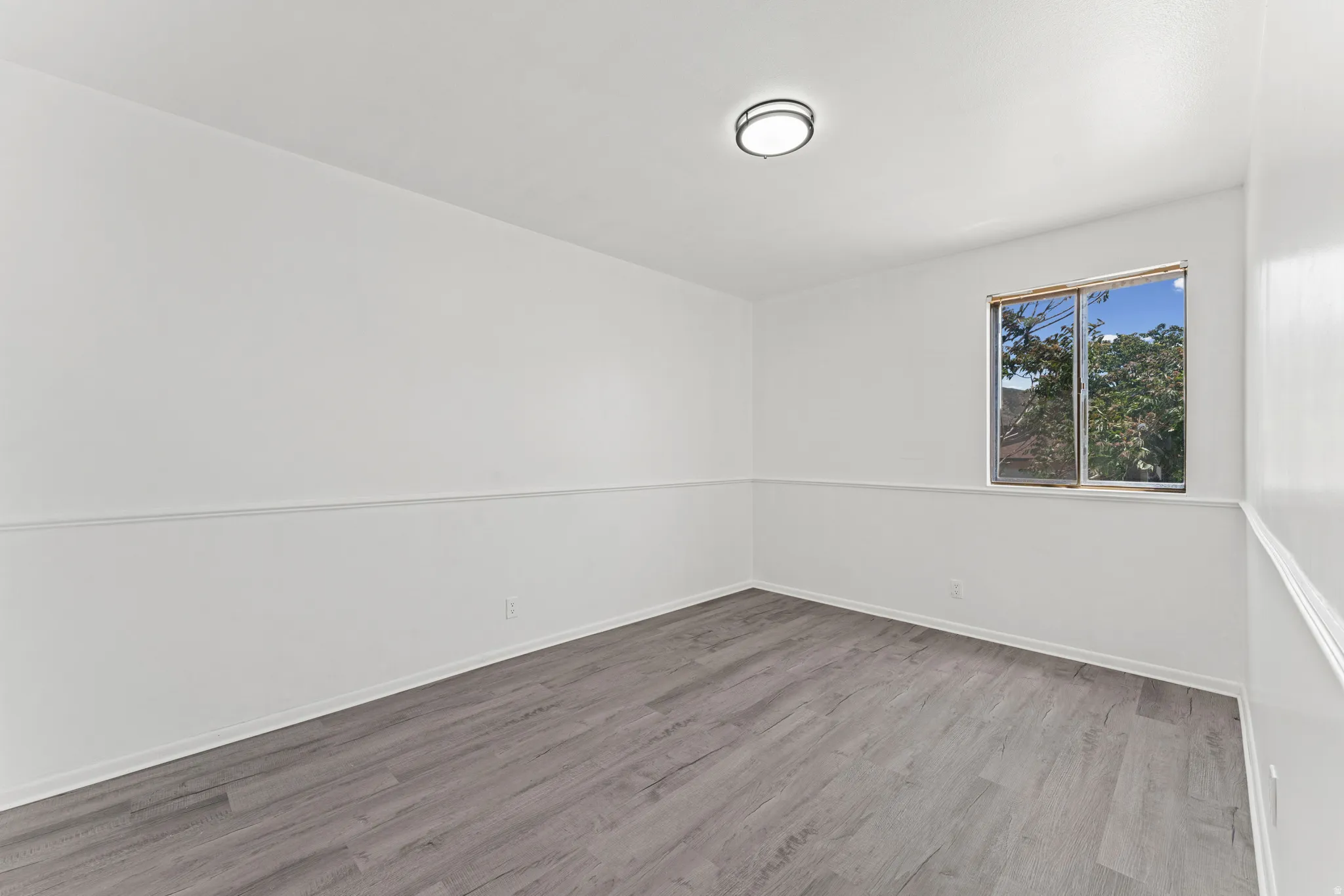 Room featuring gray wood-finish flooring, white walls with chair rail molding, and a window with exterior tree foliage