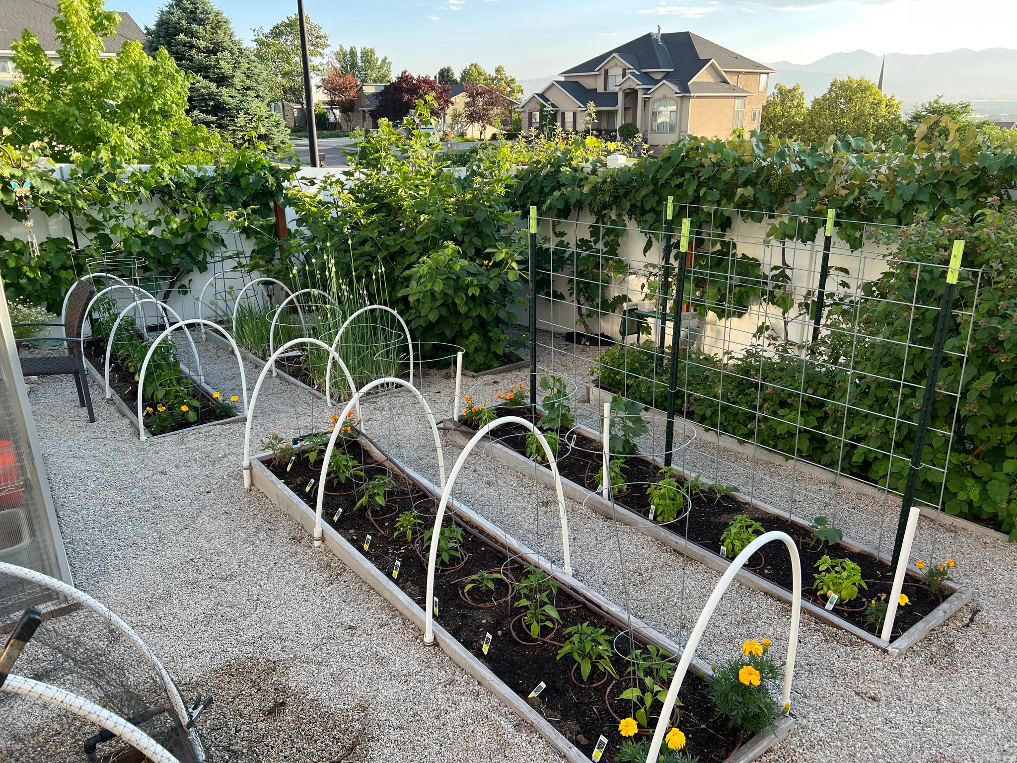 wonderful garden pic when in season