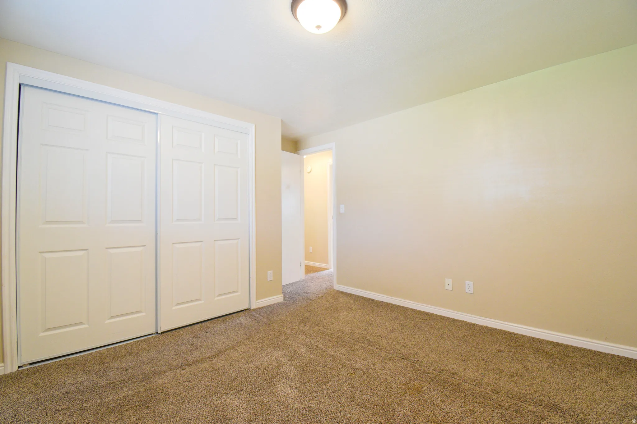 Neutral wall paint featuring white trim and textured carpeting