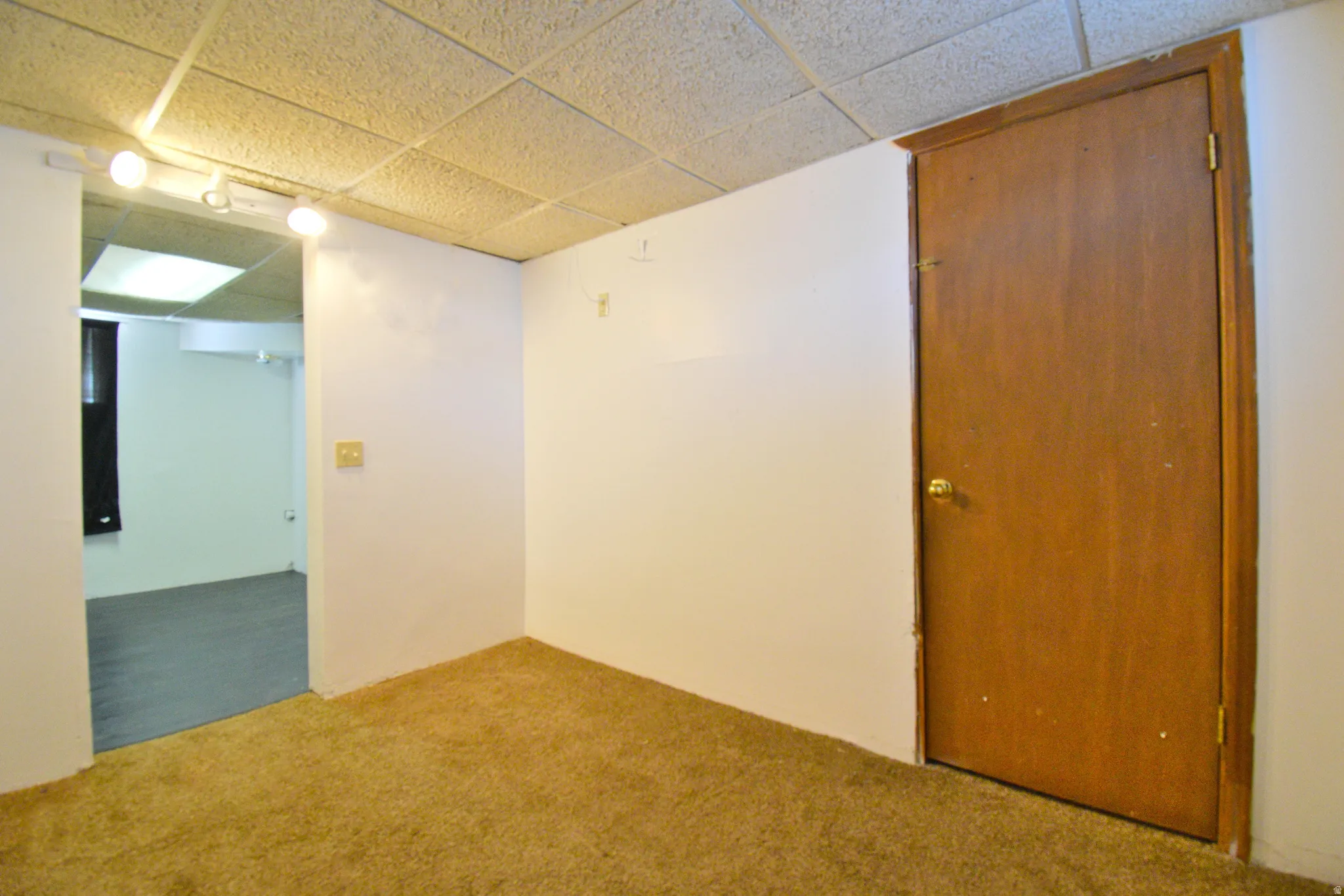 Carpeted room with white walls, a wood-finish door, and a suspended acoustic tile ceiling