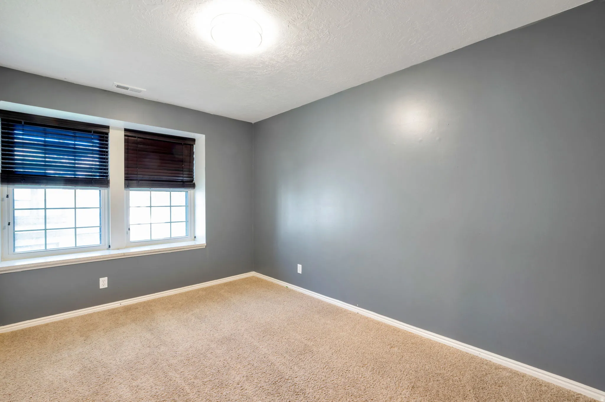 Bright interior space featuring two windows with horizontal blinds, neutral carpet flooring, and a flush mount ceiling light fixture