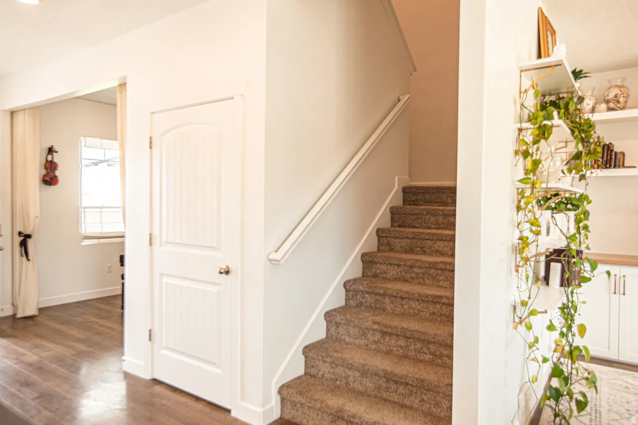 Carpeted staircase with white handrail and trim