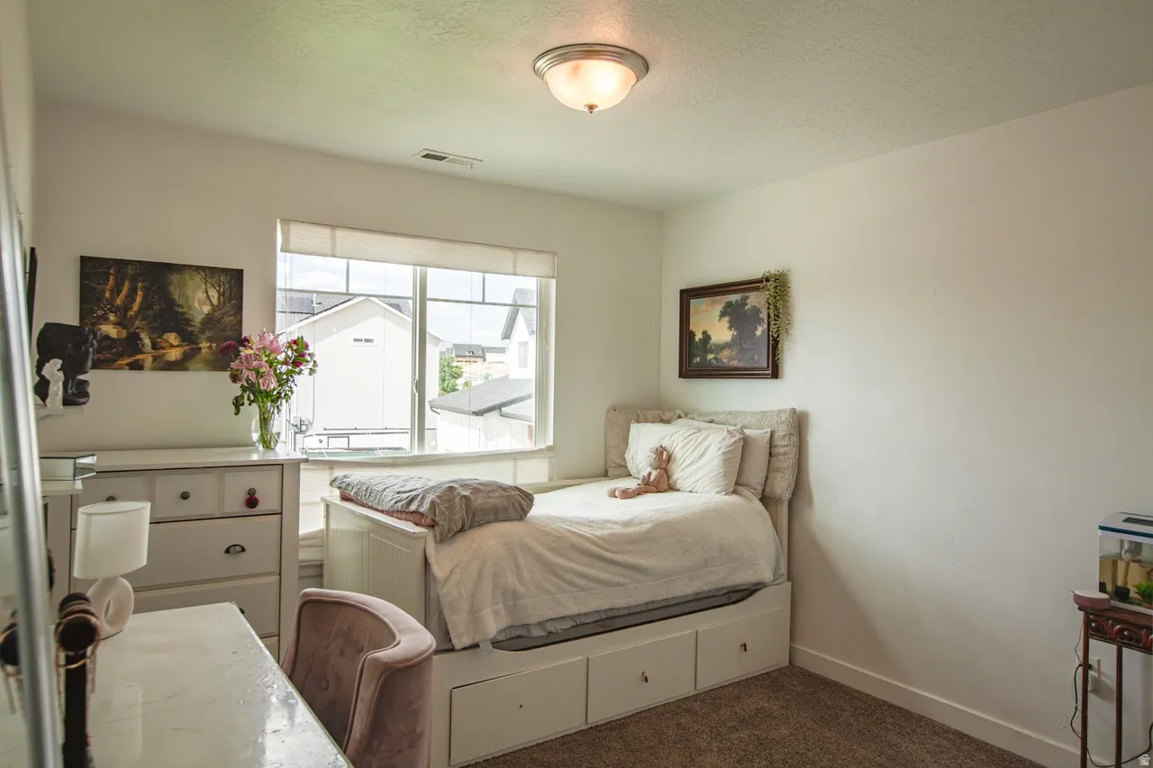 Bright room featuring a large window with roller shades, carpeted flooring, and a ceiling-mounted light fixture