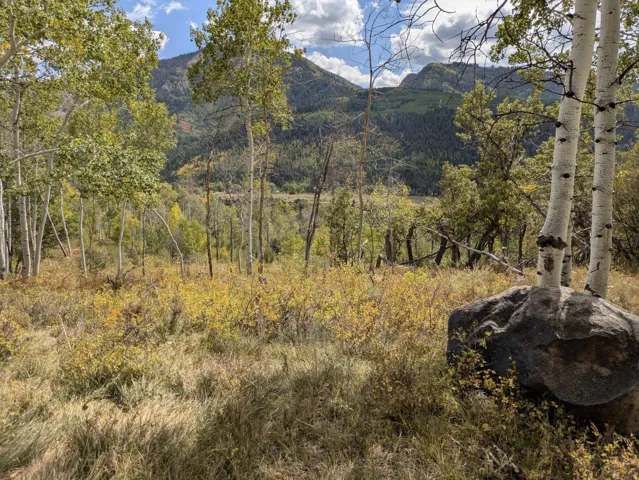 Natural landscape featuring a backdrop of distant mountains