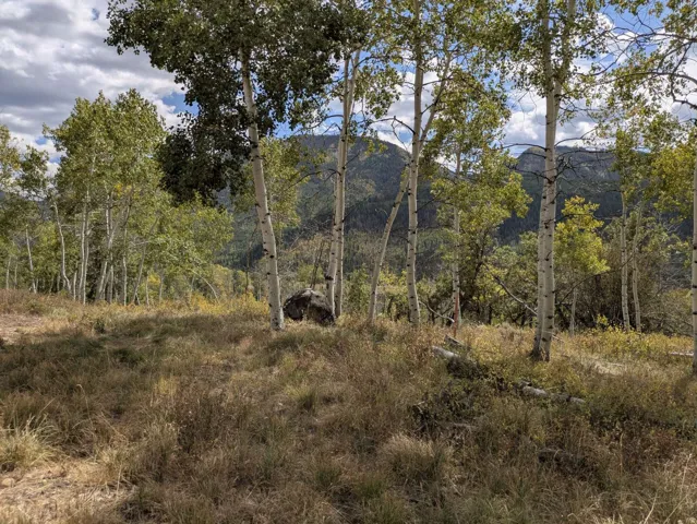 Expansive natural landscape featuring mature aspen trees, varied natural ground cover, a prominent large boulder, and a mountain backdrop