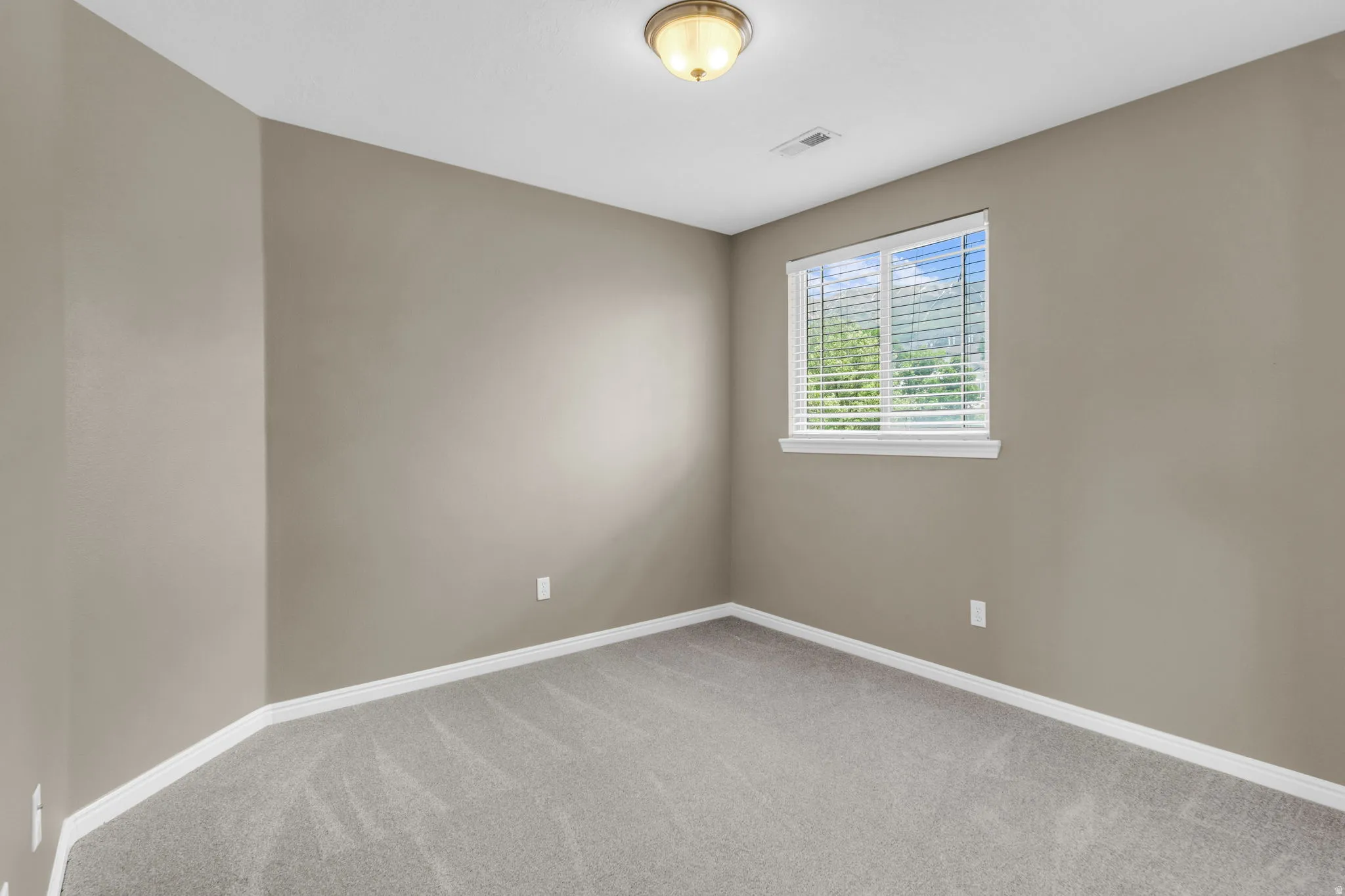 Neutral-toned room featuring a single window with blinds, light gray carpet, and white baseboards.