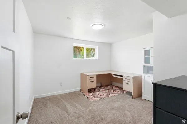 Carpeted interior room with white walls, a single window, and flush-mount ceiling lighting