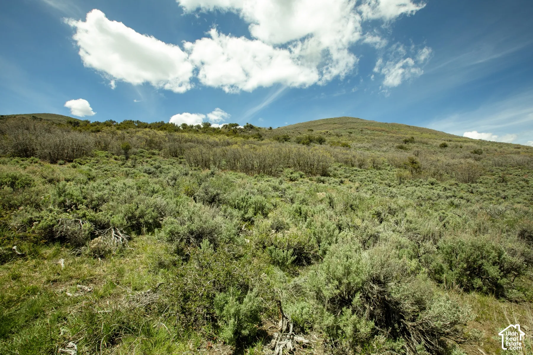 Expansive natural landscape featuring varied terrain and abundant native vegetation