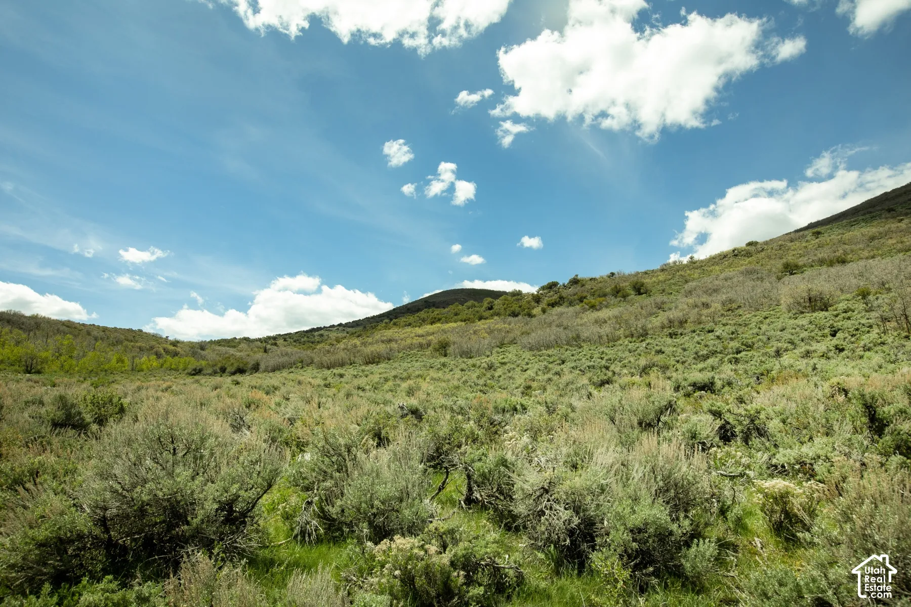 Expansive natural landscape with varied terrain and established vegetation