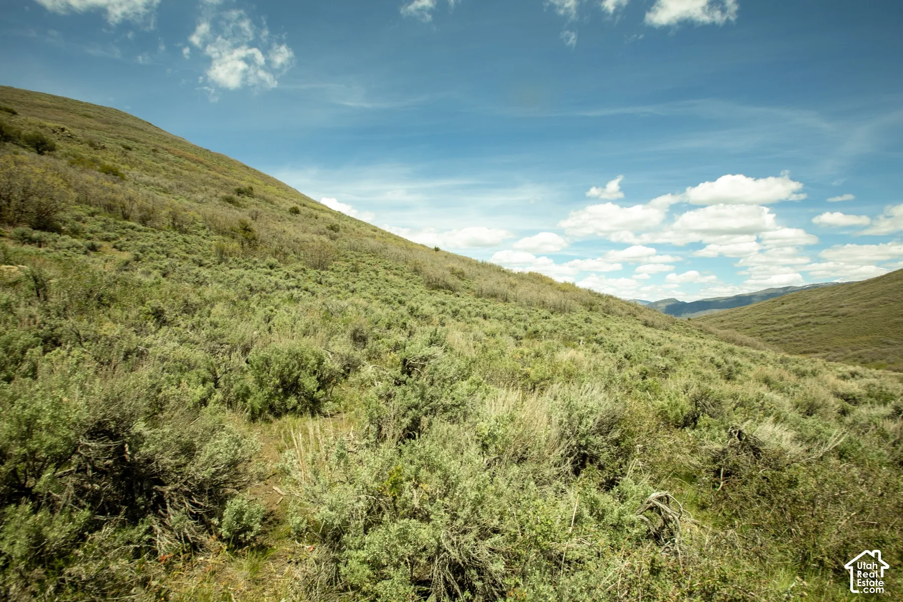 Expansive hillside terrain featuring natural vegetation and distant mountains