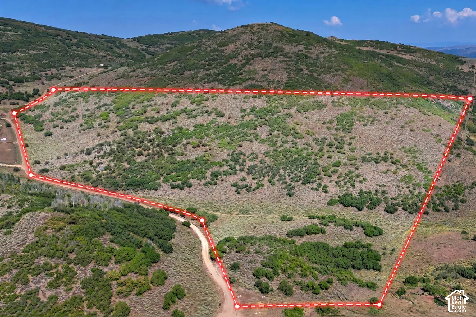 Expansive hillside property featuring natural vegetation and a winding unpaved road