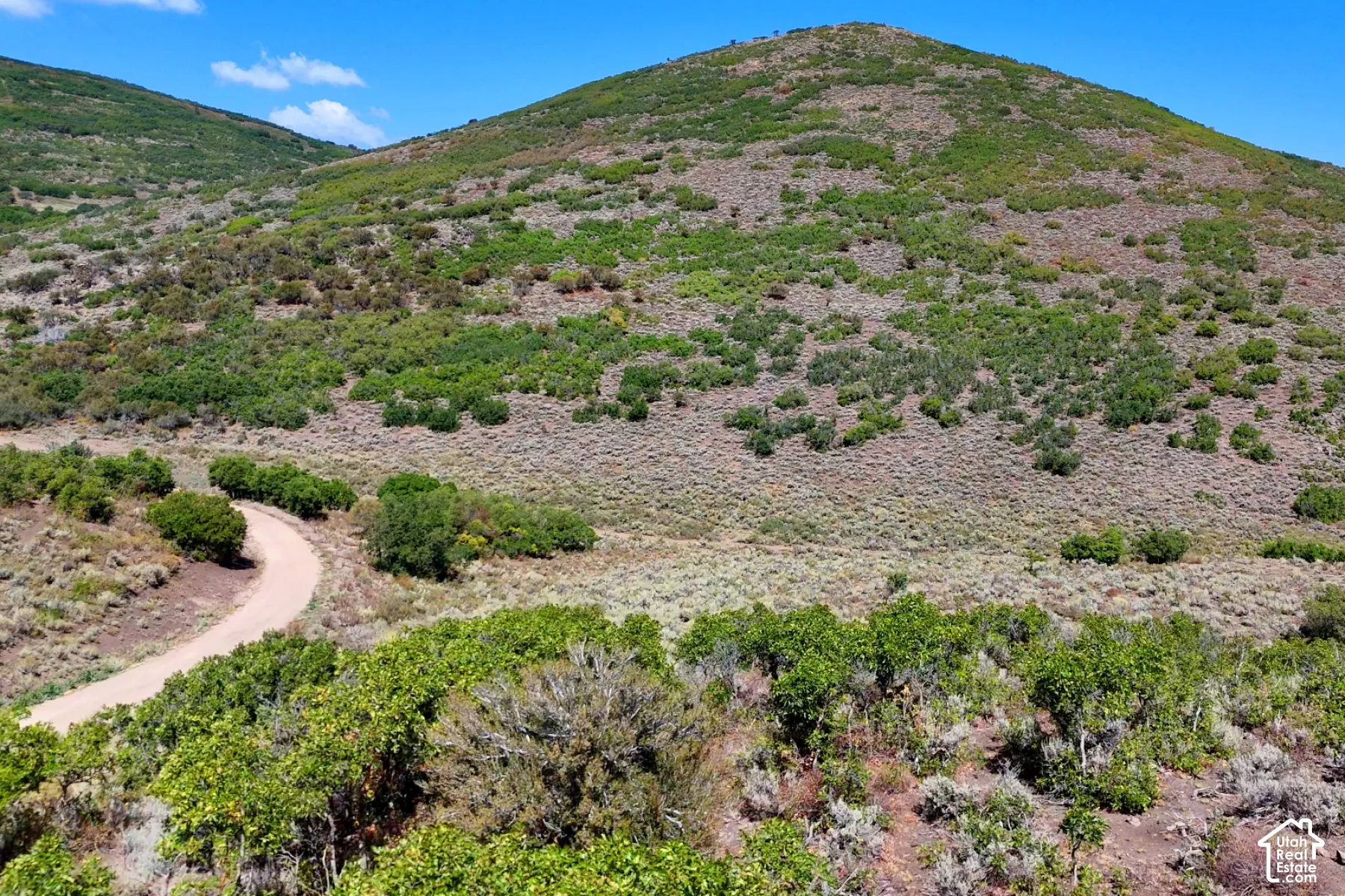 Winding unpaved road through undulating terrain with natural foliage