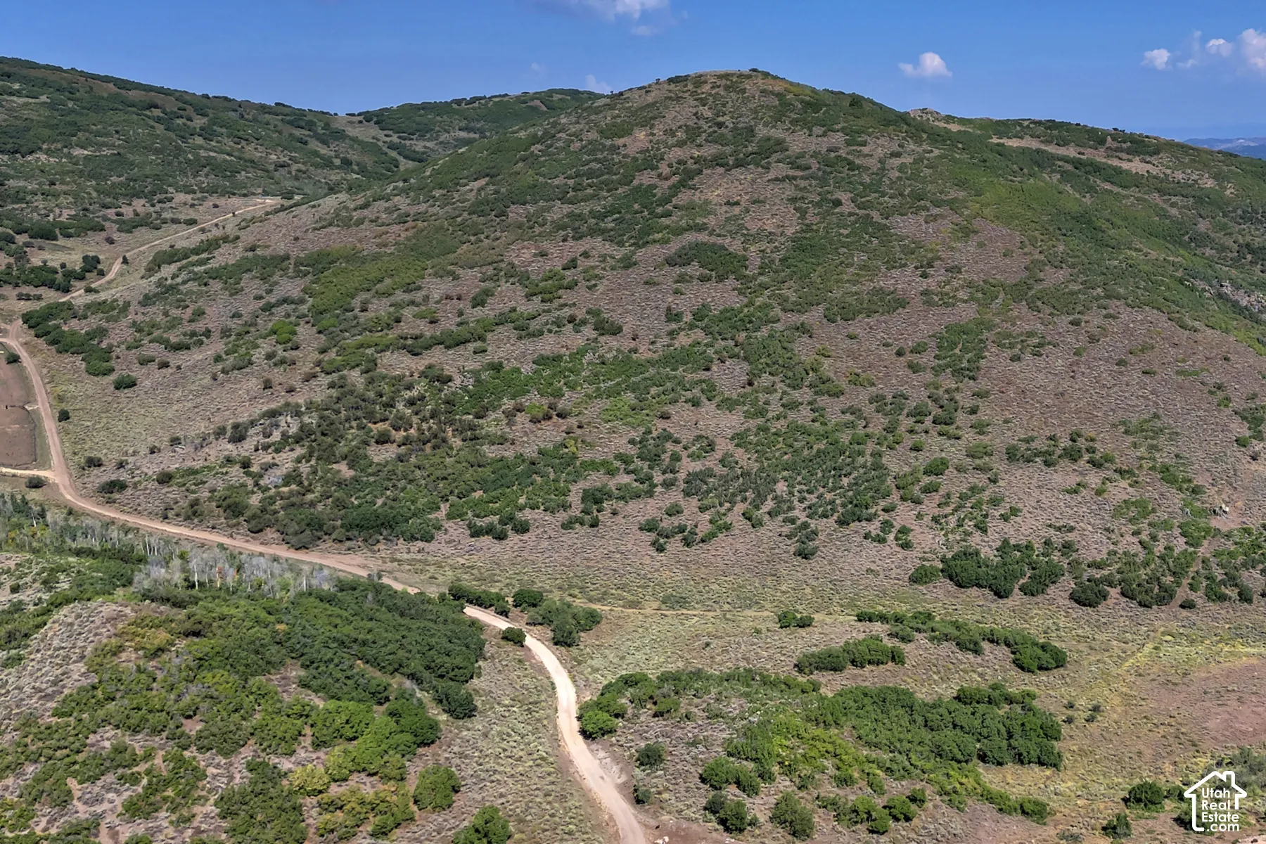 Expansive mountain terrain featuring natural vegetation and winding dirt roads