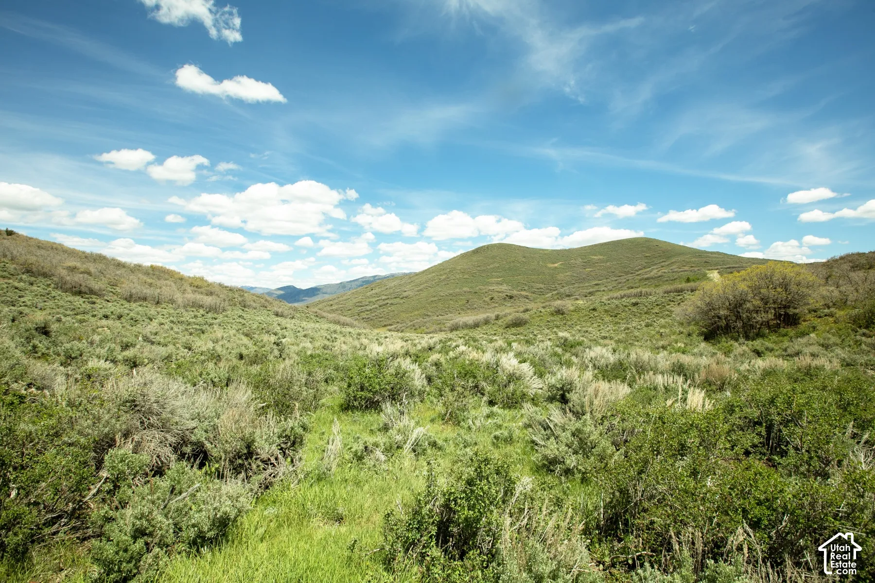 Expansive rolling hills with natural vegetation, featuring a clear blue sky with scattered clouds