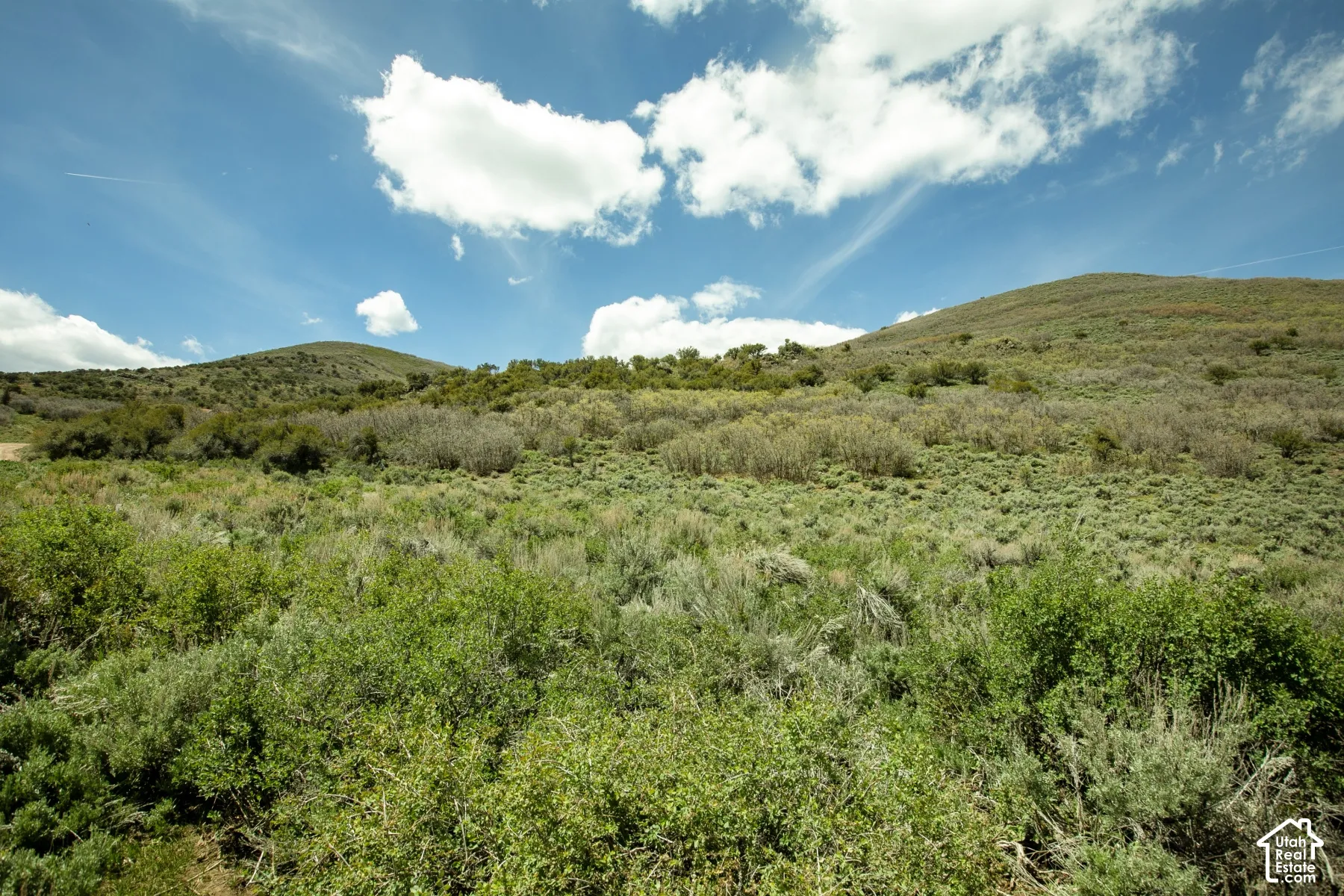 Expansive natural landscape featuring rolling hills and varied shrubbery