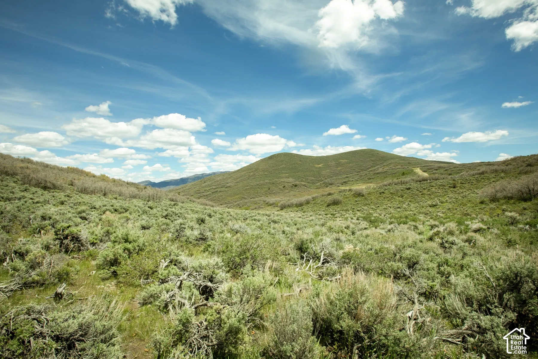 Expansive open land featuring rolling hills, varied natural vegetation, and a wide-open sky