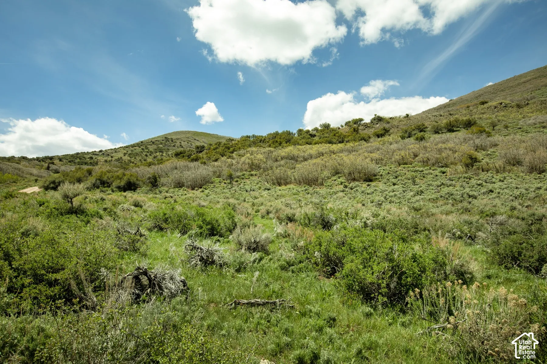 Expansive undeveloped land with natural vegetation, featuring rolling hills and a clear sky with scattered clouds