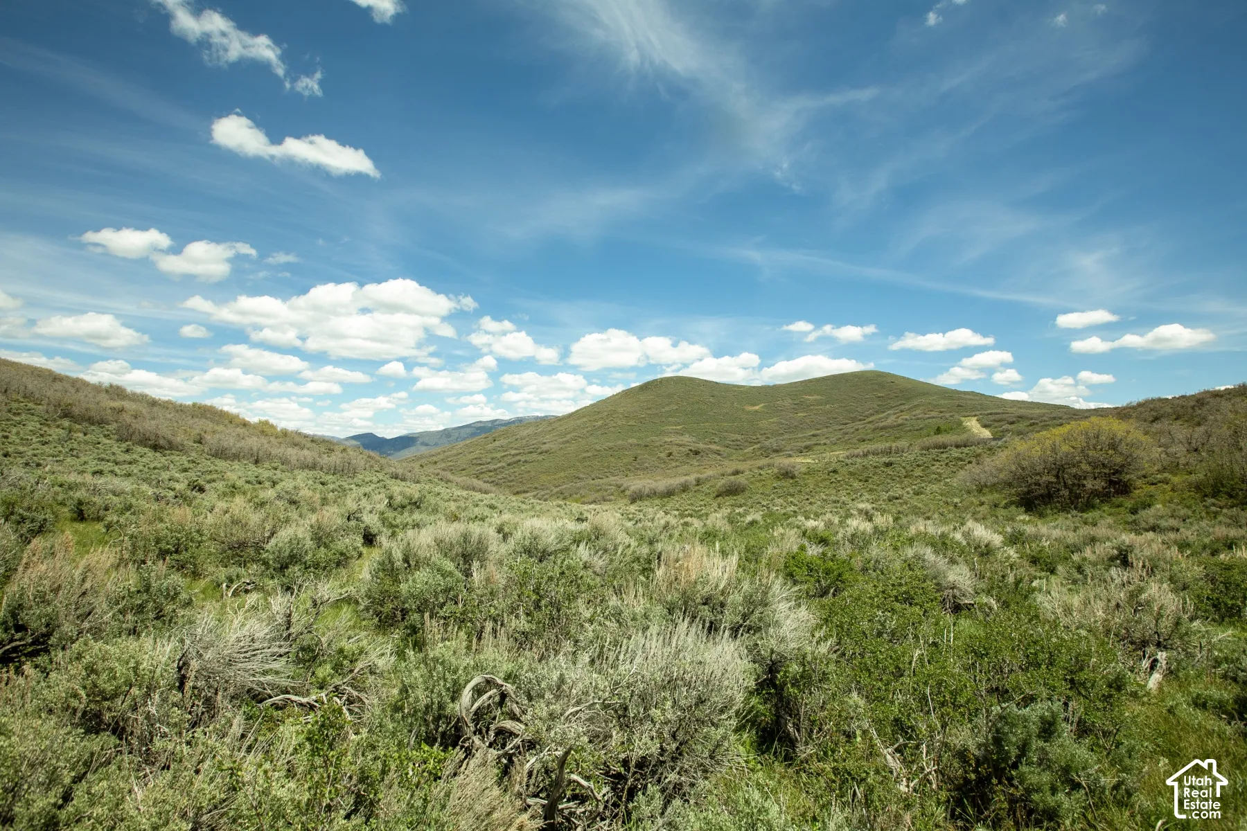 Expansive undeveloped land featuring rolling hills and natural vegetation