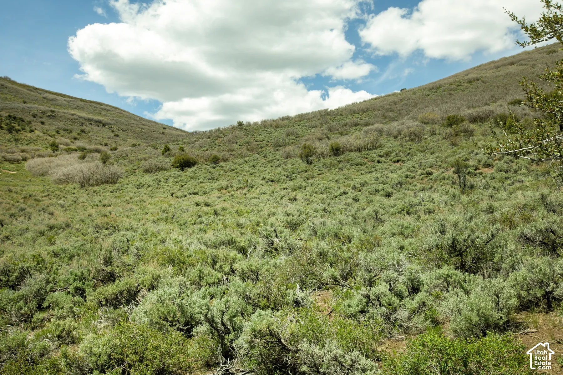 Expansive hillside terrain featuring natural vegetation and open sky