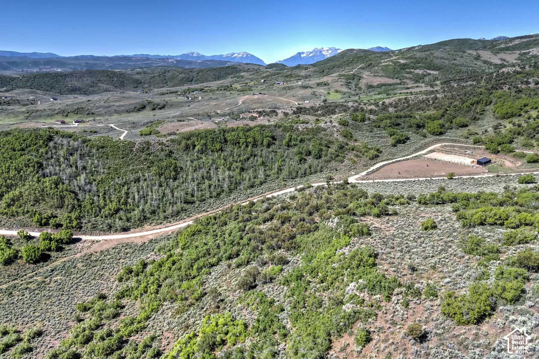 Expansive rural landscape featuring a dirt road, mature trees, and a distant mountain range
