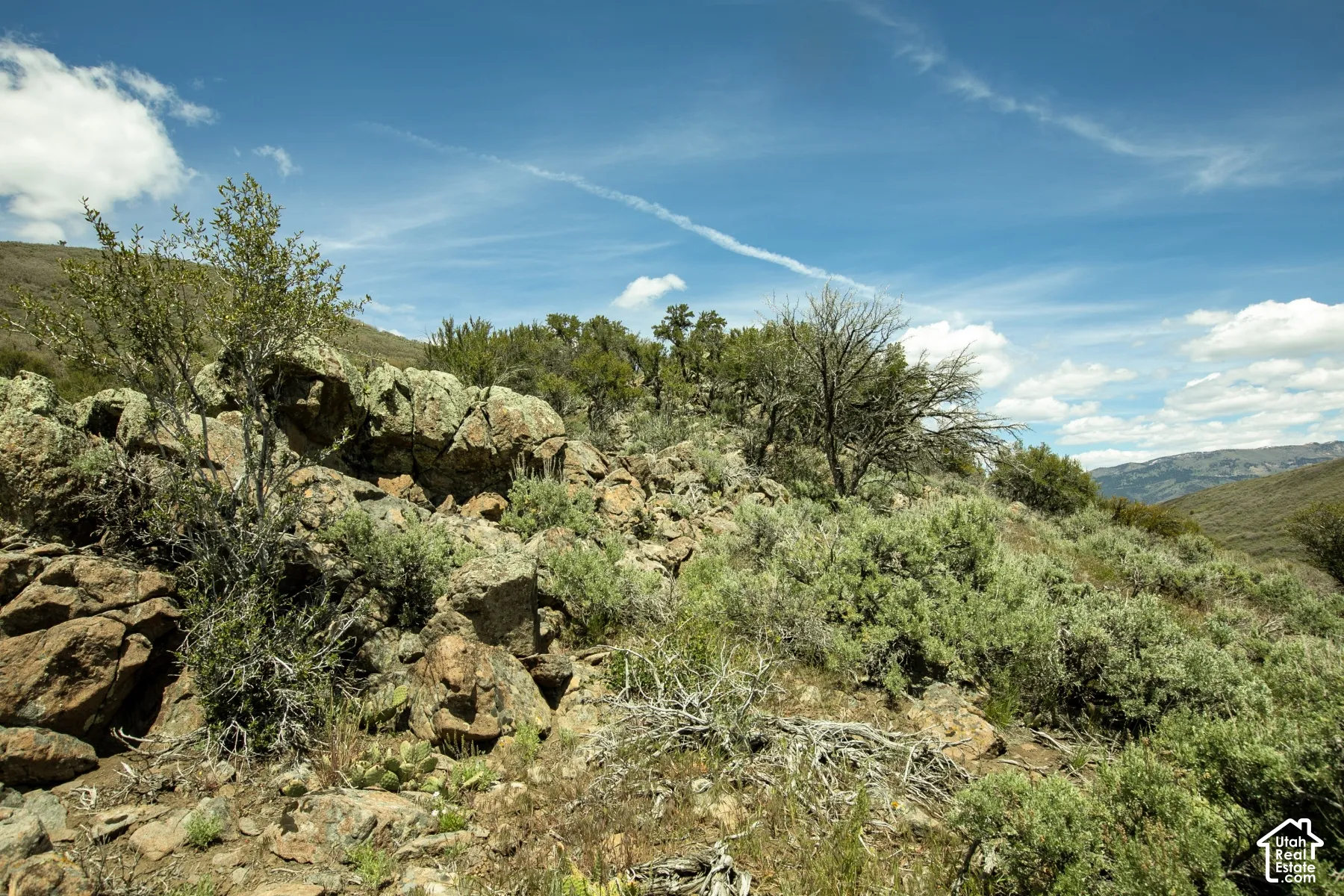 Rocky terrain with natural vegetation and distant mountains