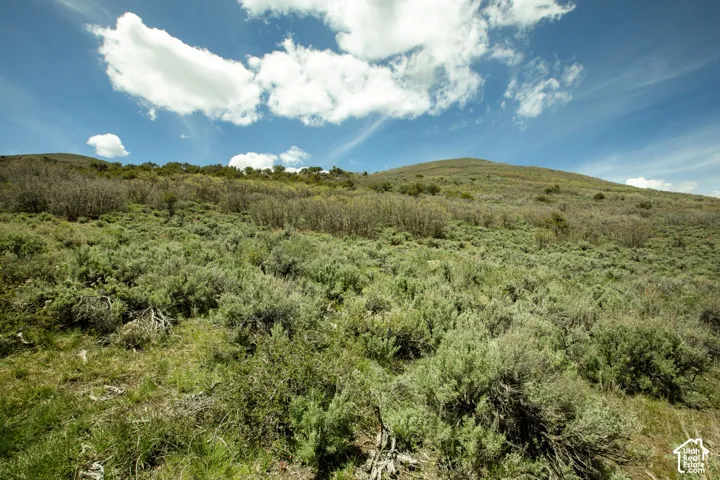 Expansive natural landscape featuring varied terrain and abundant native vegetation