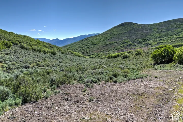 Expansive mountain terrain featuring diverse green foliage and distant mountain ranges under a clear sky
