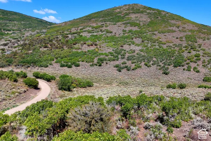 Winding unpaved road through undulating terrain with natural foliage