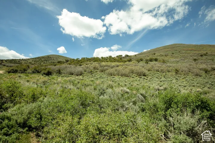Expansive natural landscape featuring rolling hills and varied shrubbery