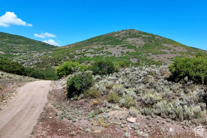Expansive natural landscape with a gravel path, surrounded by hillsides featuring varied vegetation and mature brush