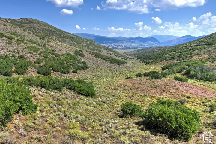 Mountainous terrain with natural shrubbery and distant landscape