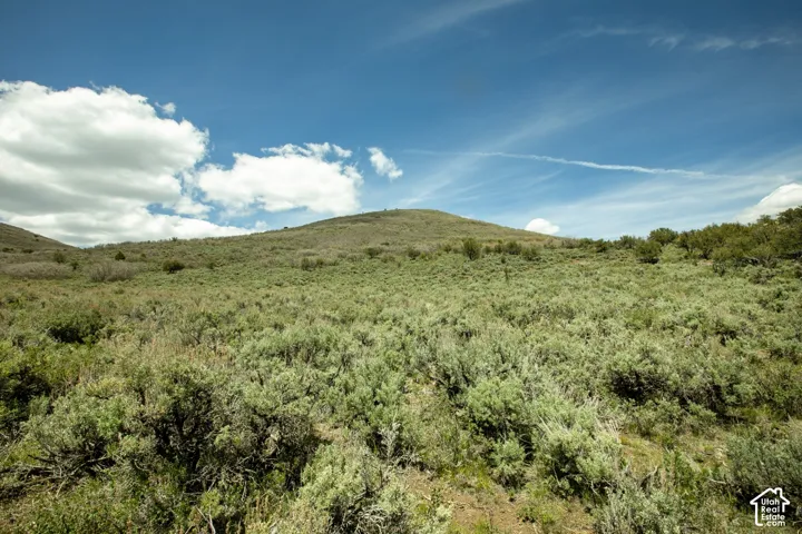 Expansive undeveloped terrain featuring varied natural vegetation, rolling hills, and mature brush