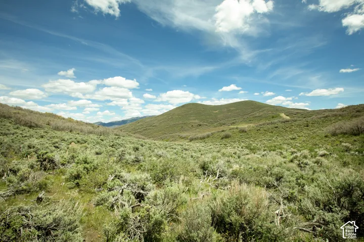 Expansive open land featuring rolling hills, varied natural vegetation, and a wide-open sky