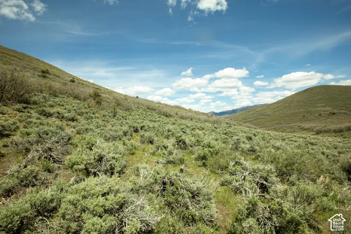 Expansive natural terrain featuring rolling hillsides and varied scrub brush