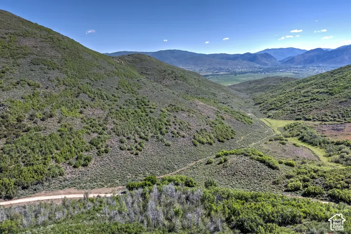 Expansive mountainous terrain featuring diverse green foliage