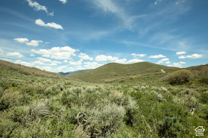 Expansive undeveloped land featuring rolling hills and natural vegetation