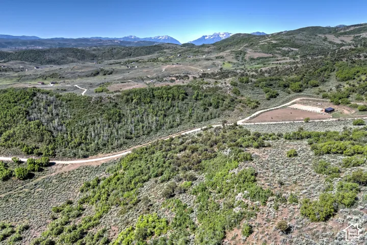 Expansive rural landscape featuring a dirt road, mature trees, and a distant mountain range