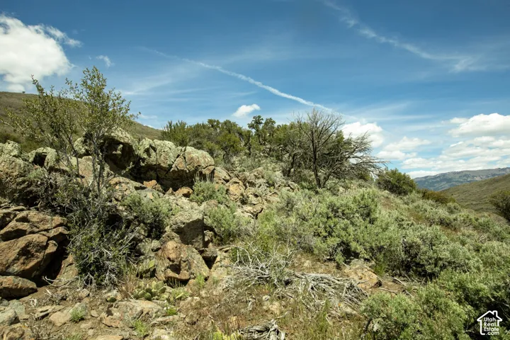Rocky terrain with natural vegetation and distant mountains