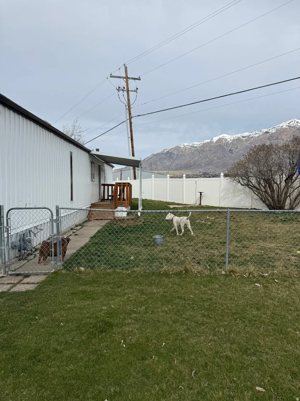 Expansive backyard featuring a chain-link fence, a white privacy fence, and distant mountain scenery